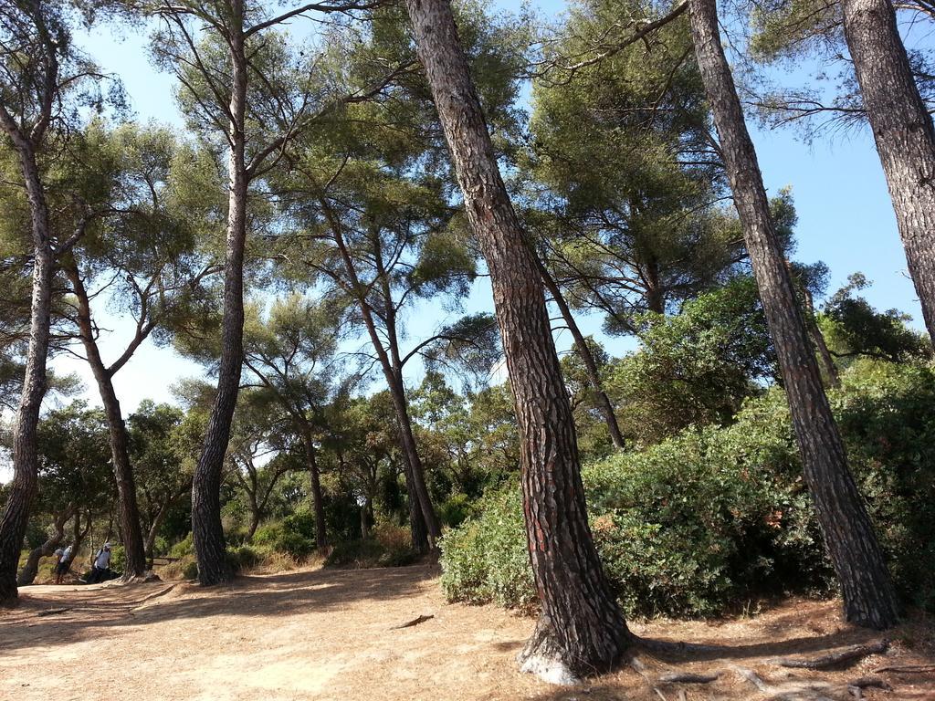 Bel Appart Style Vintage Vue Mer La Londe-les-Maures Chambre photo